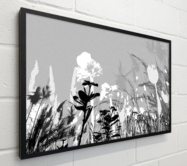 Silver Splash Flowers