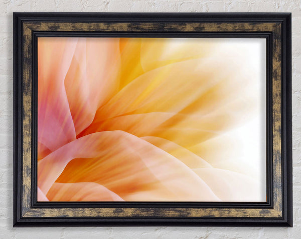Soft Silk Reflections Framed Print