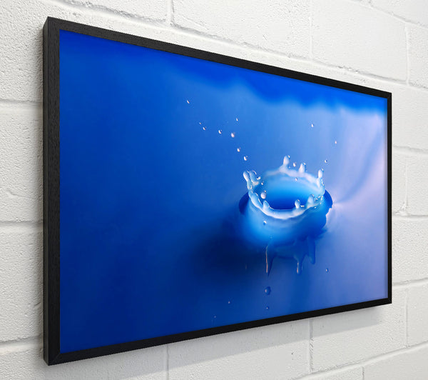 Splash Milk Blue