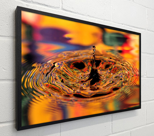 Splash Golden