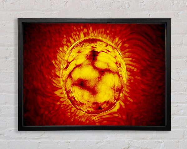 Sonnenanbeter