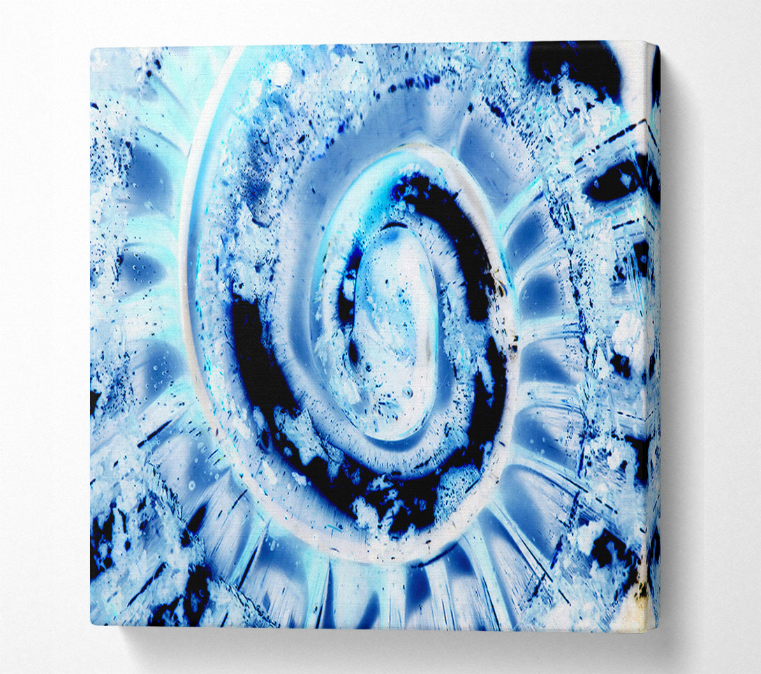  A Canvas Print of The Shells Core Canvas Art