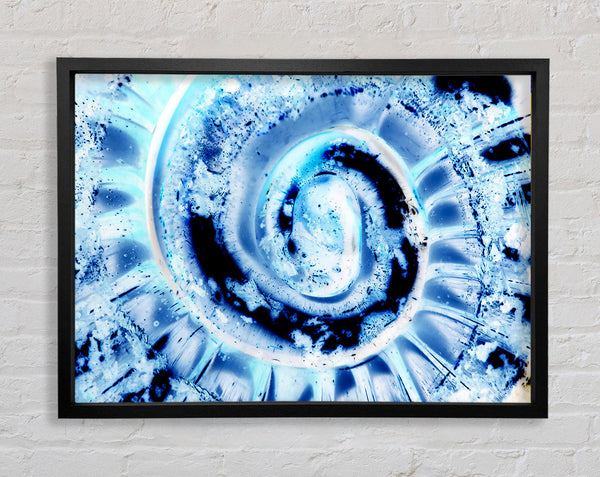 The Shells Core Framed Print