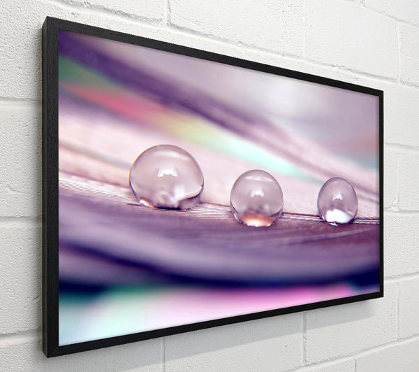 Three Water Drops