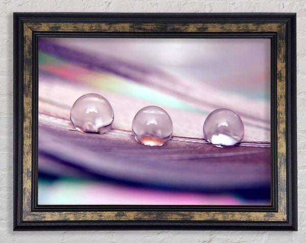 Three Water Drops Framed Print