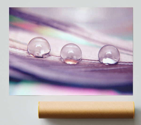 Three Water Drops Print