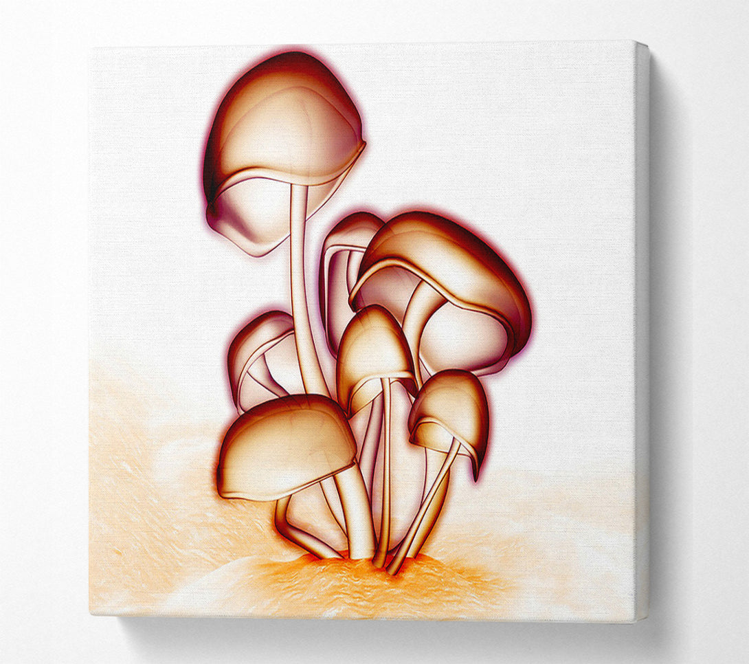  A Canvas Print of Toad Stool Canvas Art