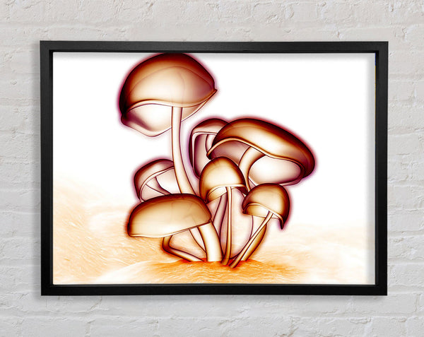 Toad Stool Framed Print