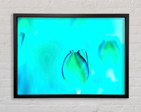 Turquoise Tulip Framed Print