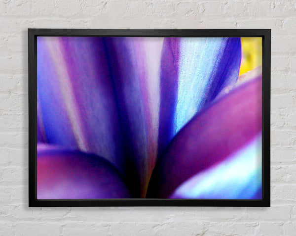 Violet Dream Framed Print