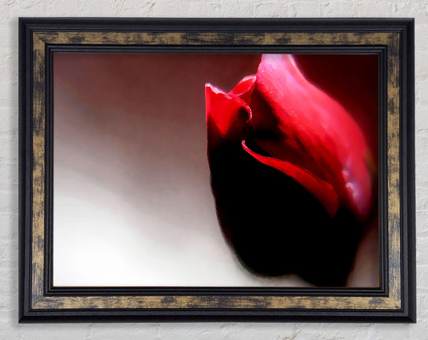 Visions Of A Rose Framed Print