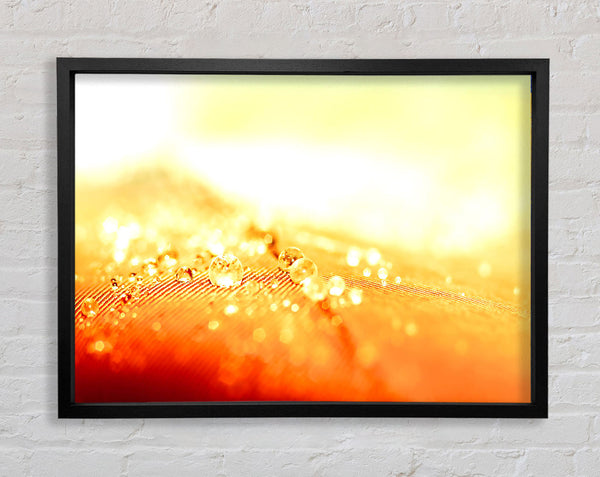 Water Resistant Framed Print