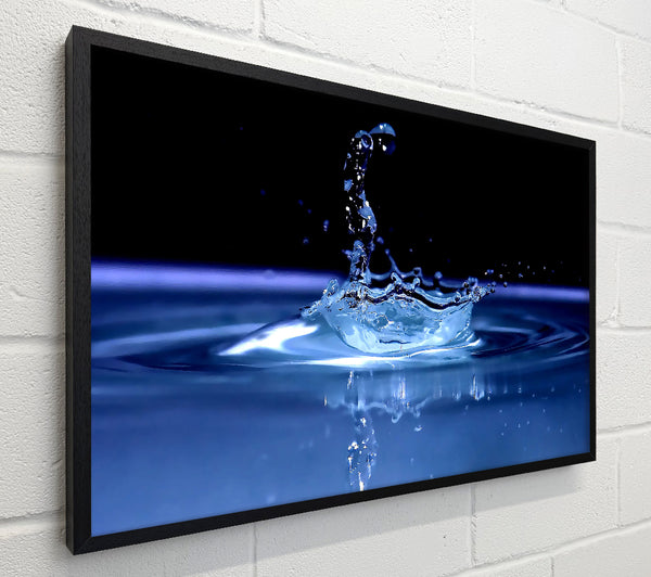 Water Splash Delight Blue
