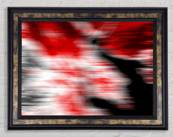 Wolf In The Night Framed Print