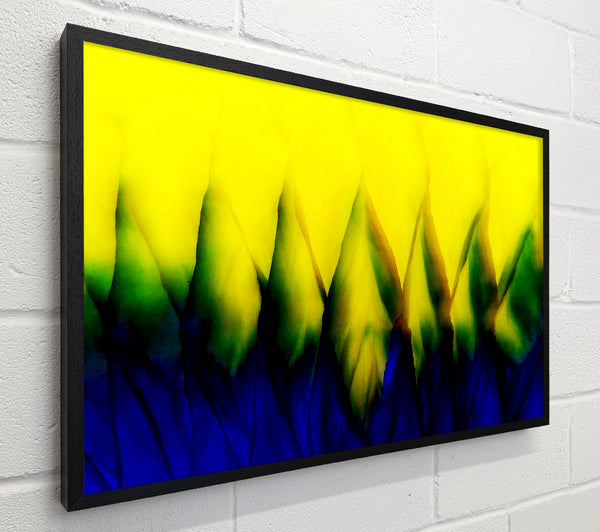 Yellow Takes Blue
