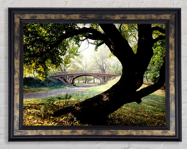 Central Park Bridge New York City Framed Print