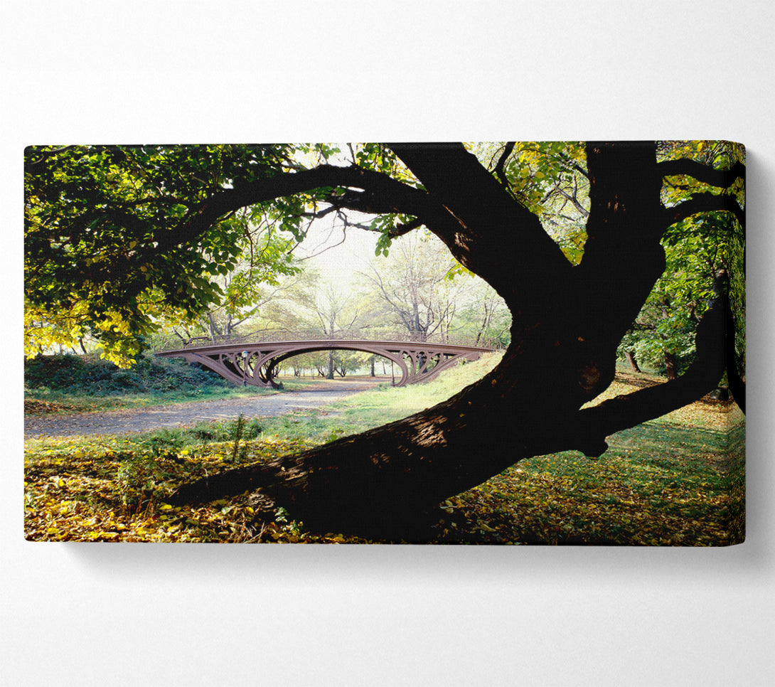  A Canvas Print of Central Park Bridge New York City Canvas Art