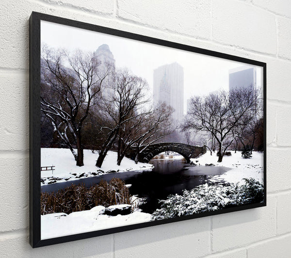 Central Park In Winter