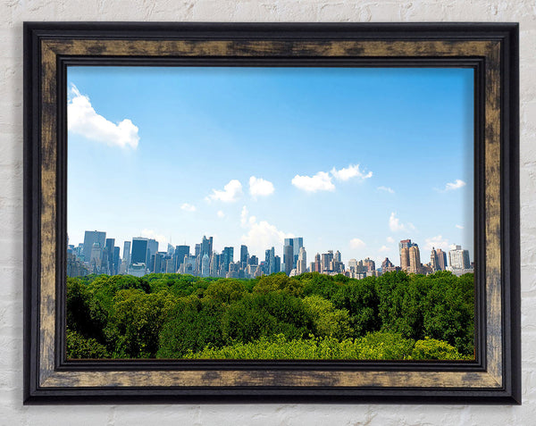 Central Park New York City Framed Print