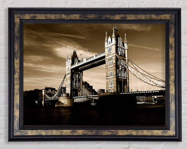 London Brown Beauty Framed Print