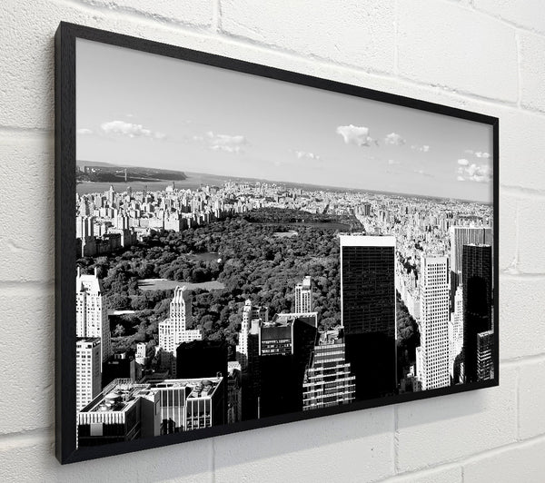 Central Park New York B n W