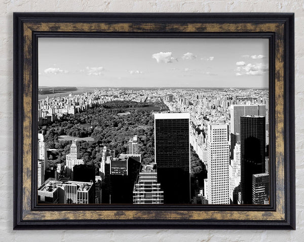 Central Park New York B n W Framed Print