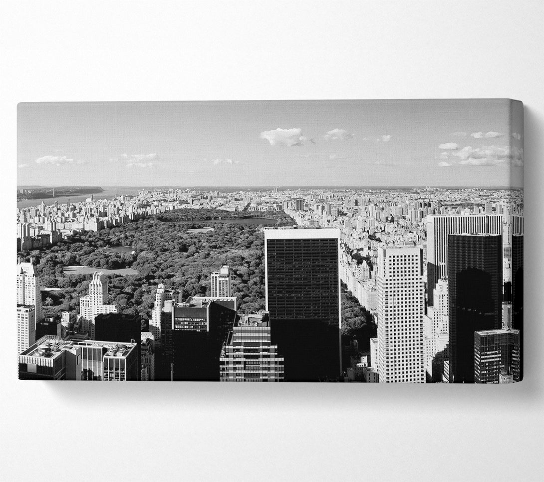  A Canvas Print of Central Park New York B n W Canvas Print