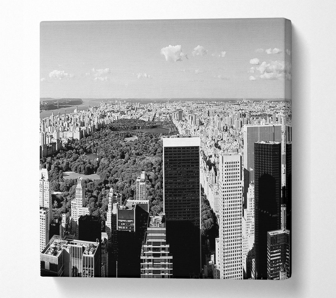  A Canvas Print of Central Park New York B n W Canvas Print