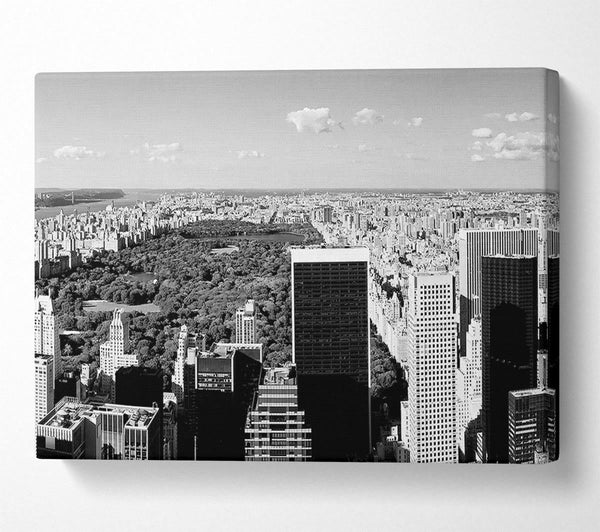  A Canvas Print of Central Park New York B n W Canvas Print