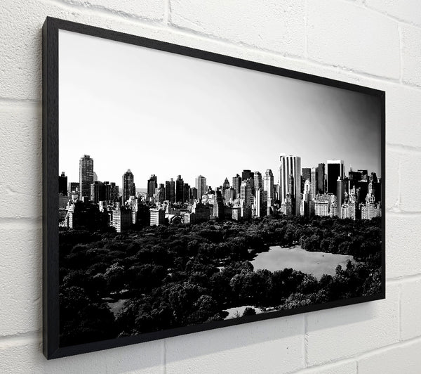 New York City Central Park From Above B n W