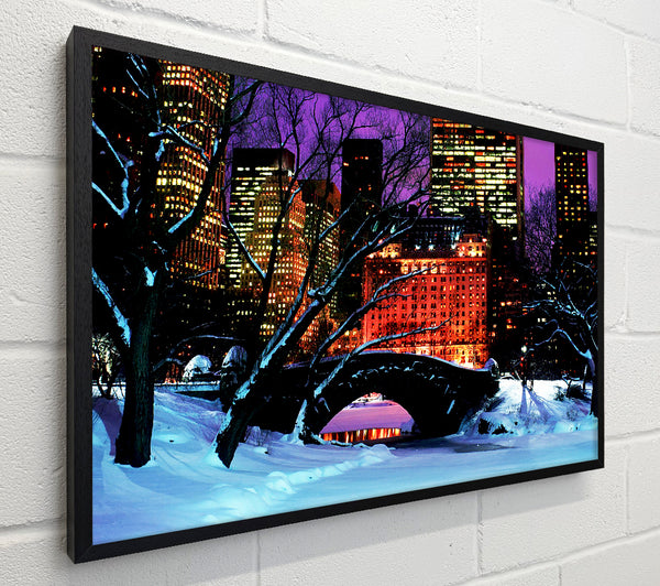 New York City Central Park Night Snow