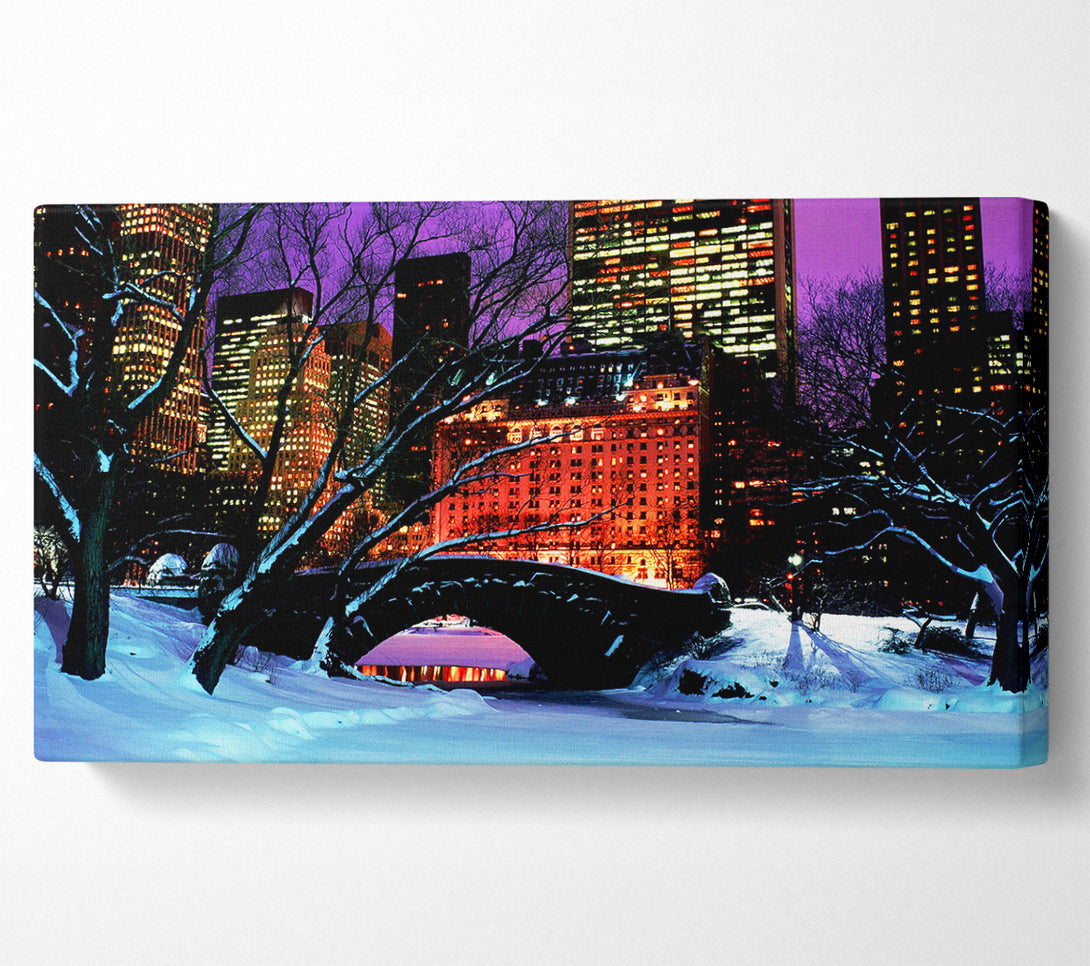  A Canvas Print of New York City Central Park Night Snow Canvas Art