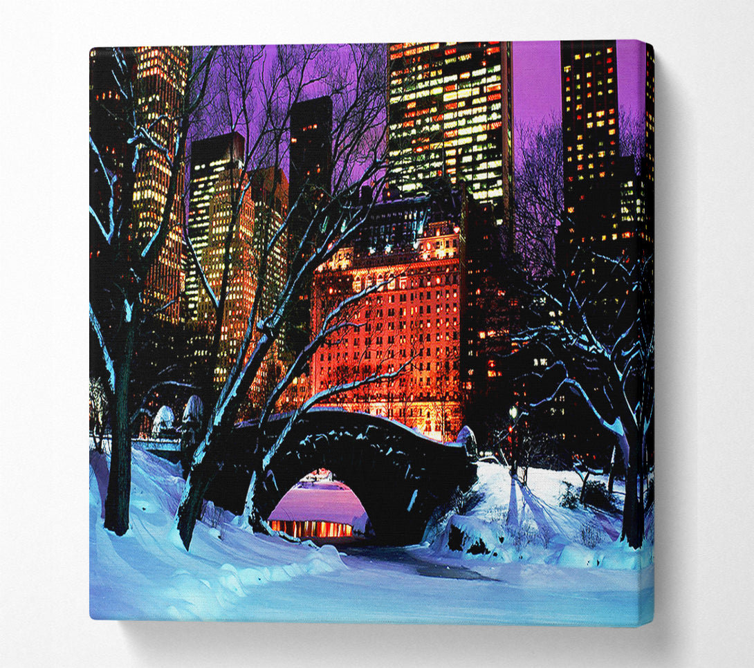  A Canvas Print of New York City Central Park Night Snow Canvas Art