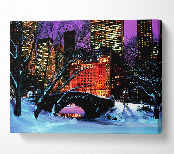  A Canvas Print of New York City Central Park Night Snow Canvas Art