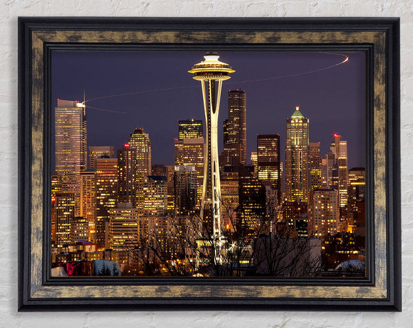 Seattle Washington Framed Print