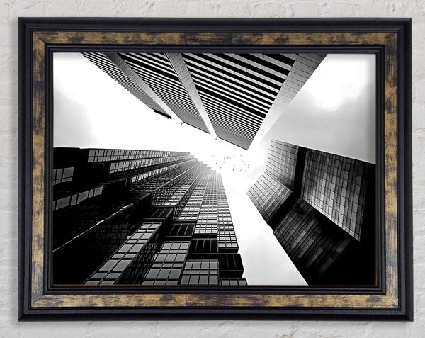 Skyscrapers In Black And White Framed Print