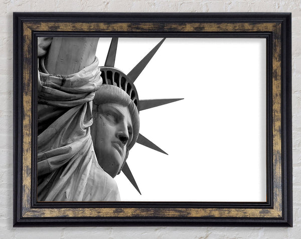 Statue Of Liberty Close-up Framed Print