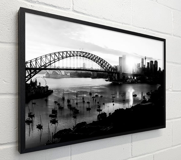 Sydney Harbour Sun Blaze B n W