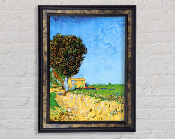 Van Gogh A Lane Near Arles Framed Print