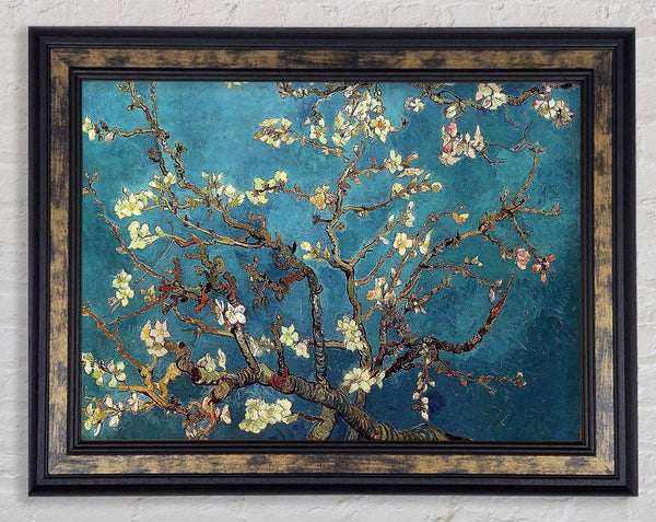 Van Gogh Almond Branches Framed Print