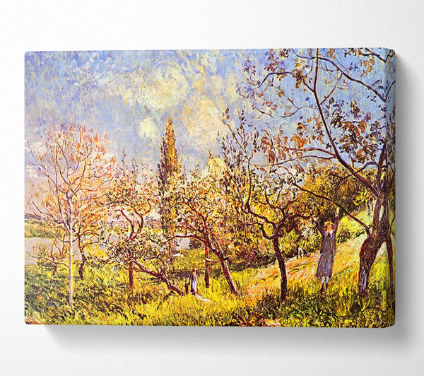  A Canvas Print of Sisley An Orchard In Spring Canvas Wall Art