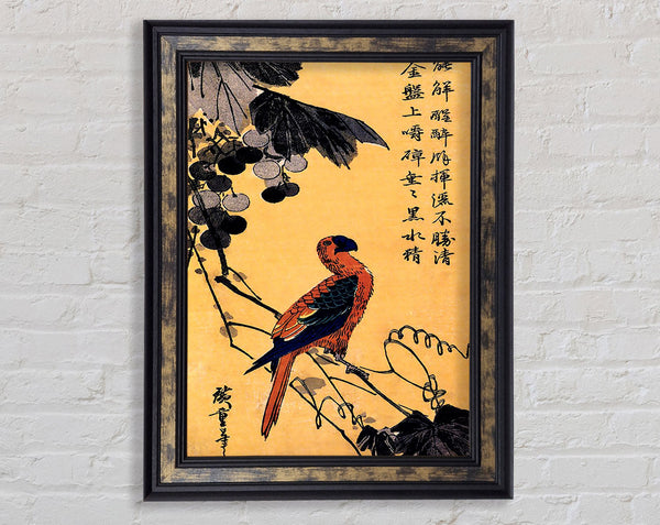 Hiroshige Ara On A Vine Framed Print