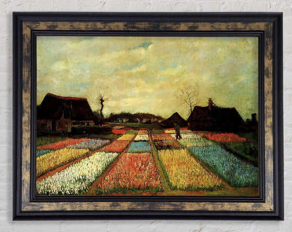 Van Gogh Bulb Fields Framed Print