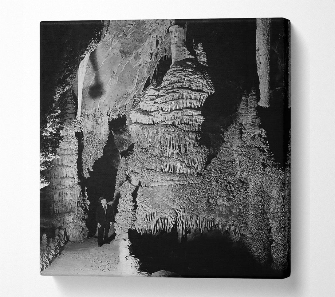  A Canvas Print of Ansel Adams Carlsbad Caverns National Park New Mexico 2 Canvas Art