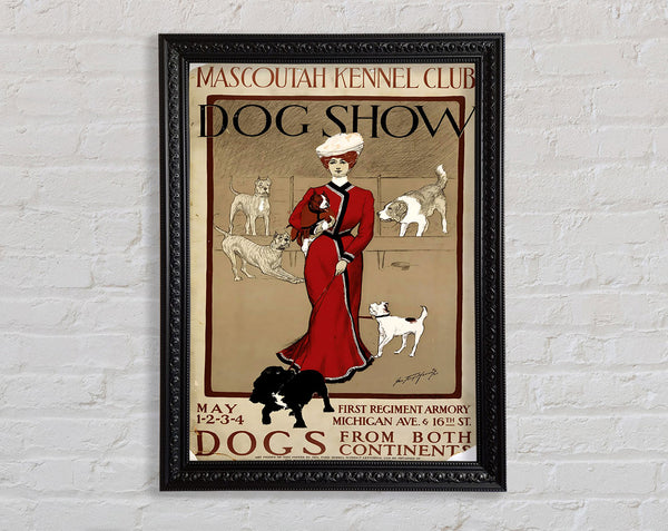 Hunde show