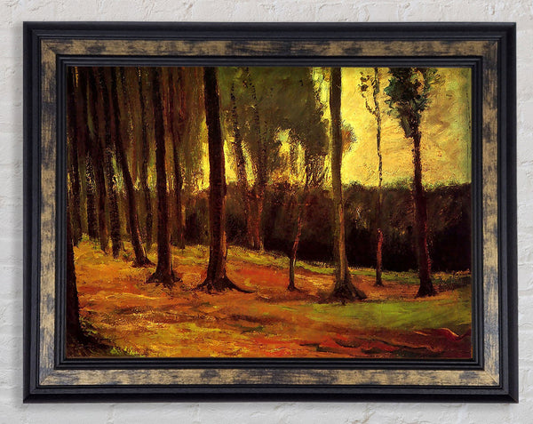 Van Gogh Edge Of A Wood Framed Print