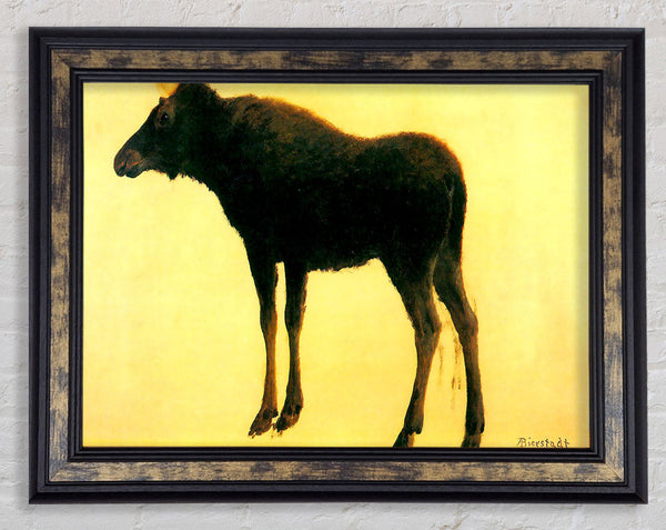 Bierstadt Elk Framed Print