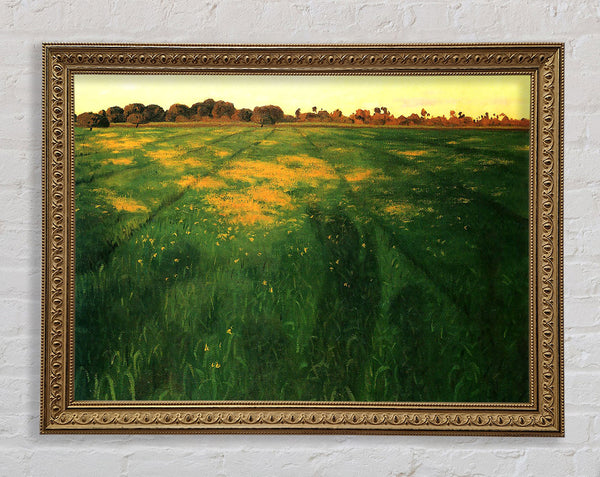 Felix Vallotton Feld mit grünem Hafer