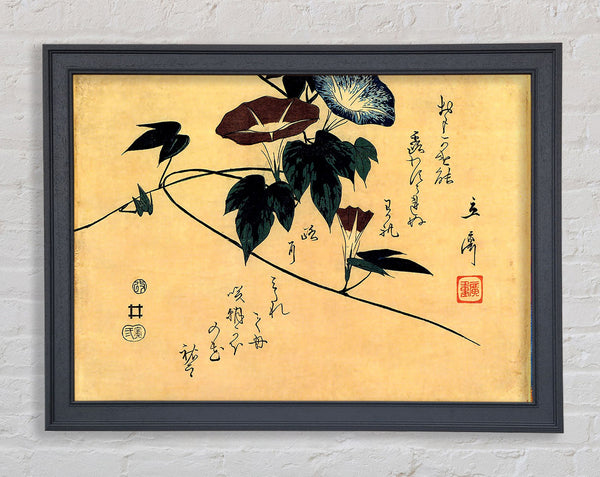 Hiroshige-Prunkwinde