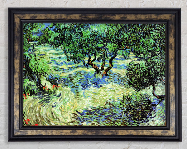Van Gogh Olive Grove 2 Framed Print